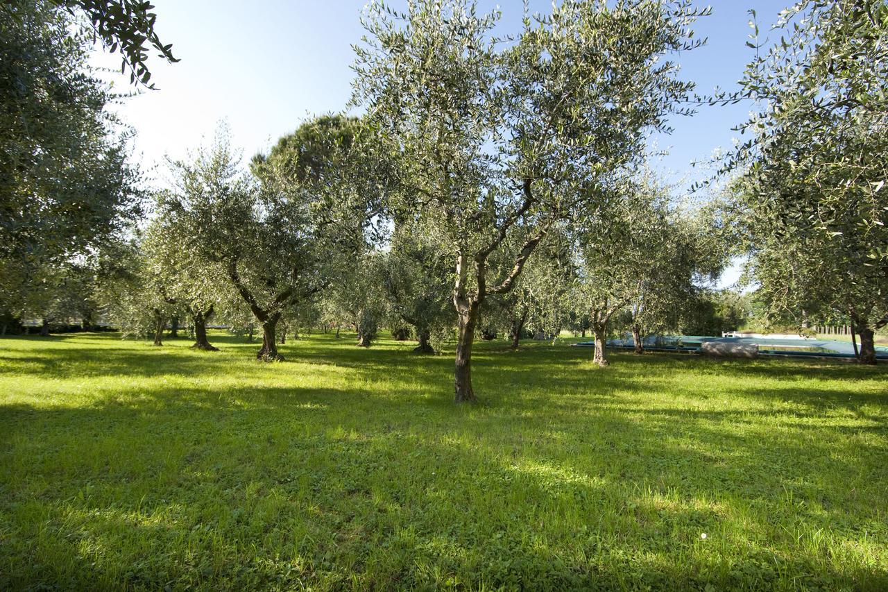 Willa Agrigturismo Monte Cicogna Moniga del Garda Zewnętrze zdjęcie