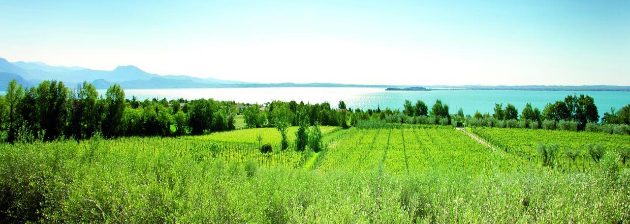 Willa Agrigturismo Monte Cicogna Moniga del Garda Zewnętrze zdjęcie